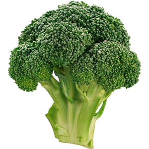 Broccoli PNG-72859